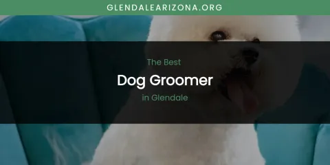 The Absolute Best Dog Groomer in Glendale